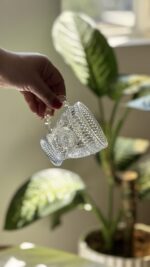 فنجان و نعلبکی طرح زارا وارداتی دلی گلس - Image 5